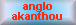 ANGLO AKANTHOU AID SOCIETY