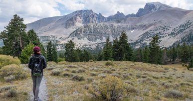 Looking back at Wheeler Peak