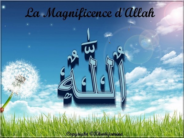 La Magnificence d'Allah