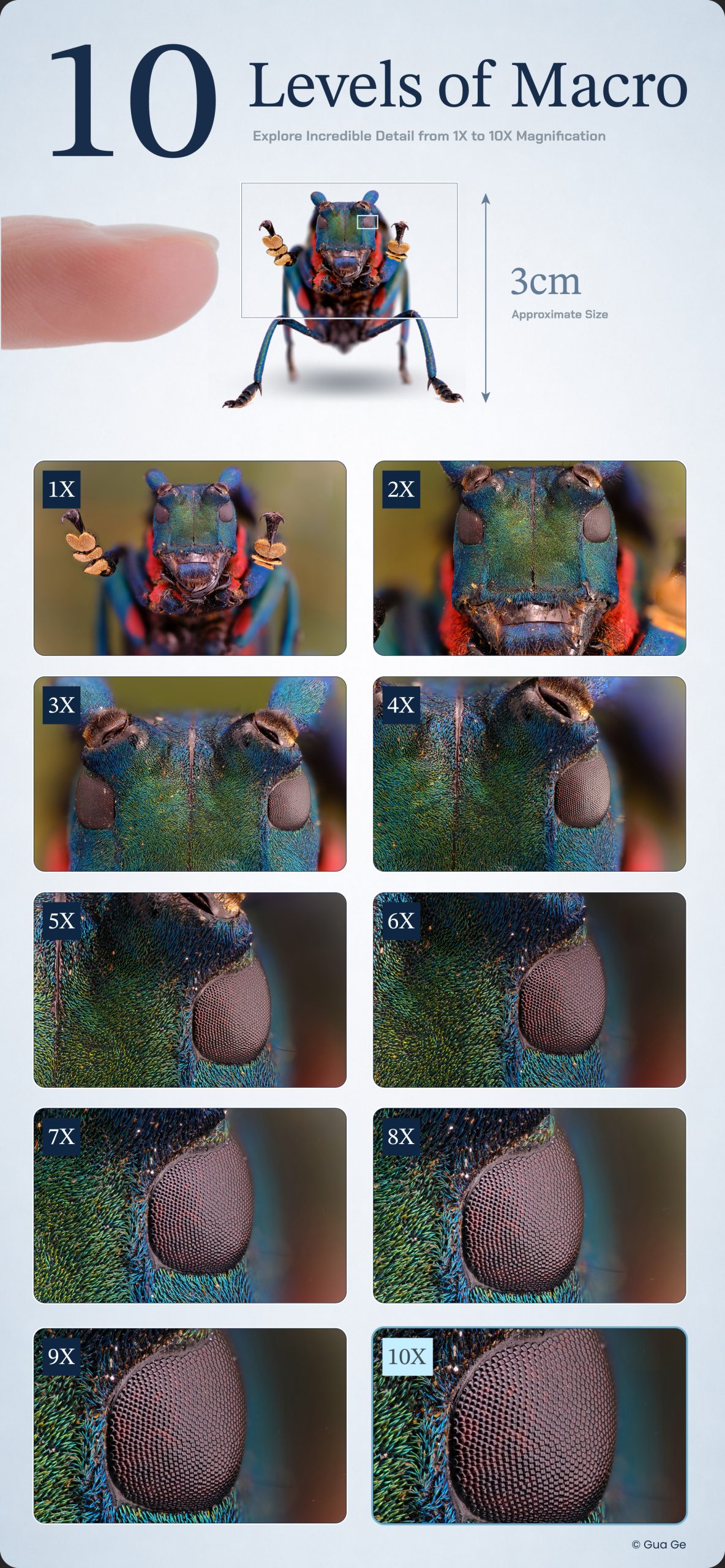 08_Aksen Features_Cine_Zoom from 1X to 10X