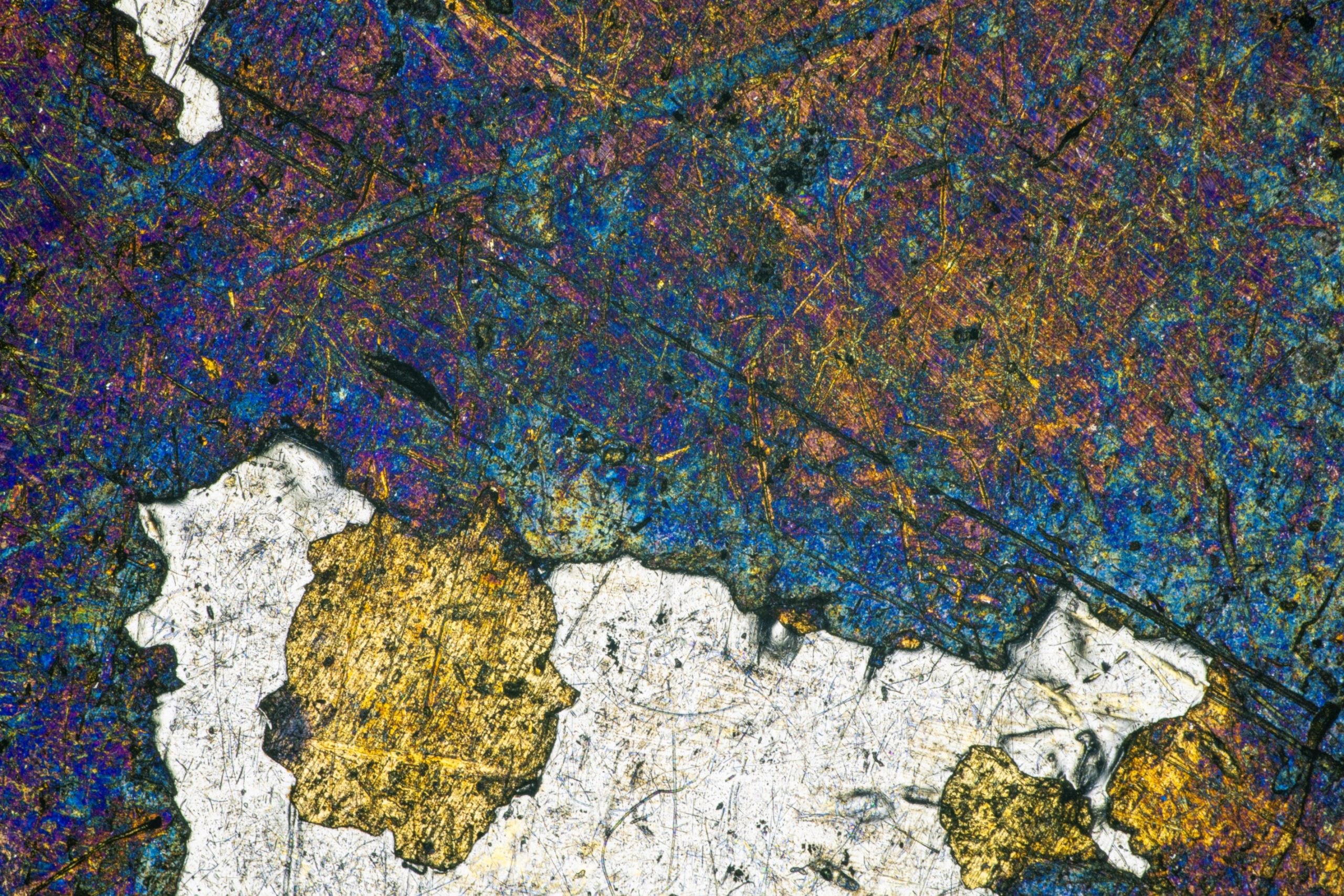 laowa_aksen_Macrodeon-Aksen_5