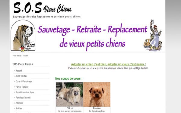 S.O.S VIEUX CHIENS