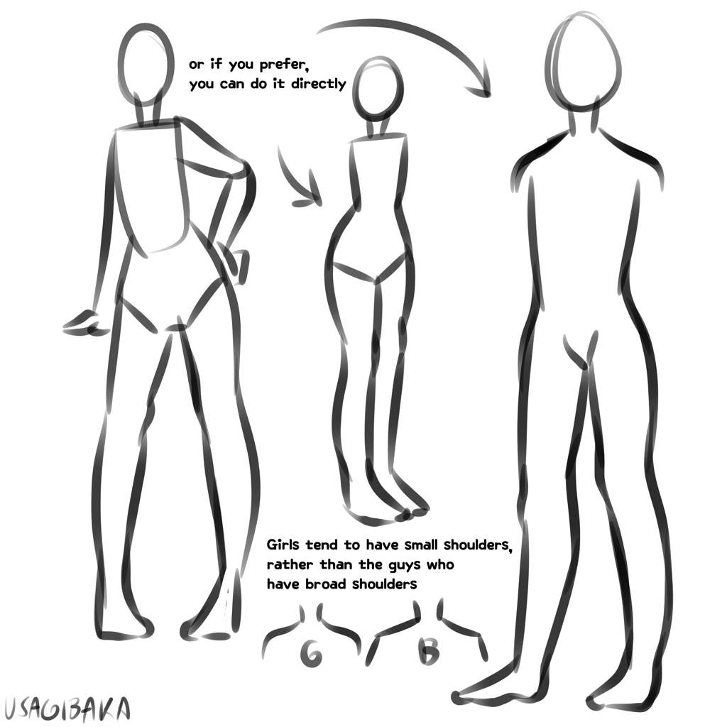 Body Proportion Tutorial [FEMALE]-Hi guys,  so sorry this took so late.  So weeks ago I posted a poll about what I'd post as 