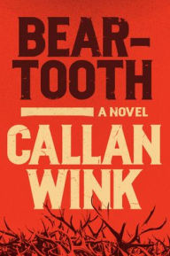 Title: Beartooth: A Novel, Author: Callan Wink