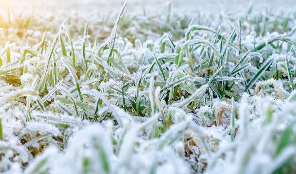 De -4 à 22 °C : la France sera coupée en deux 