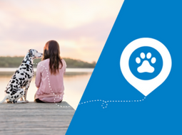 Tractive GPS for dogs & cats