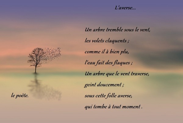 L'averse ...