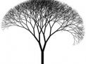 ARBRE