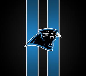 carolina panthers wallpaper