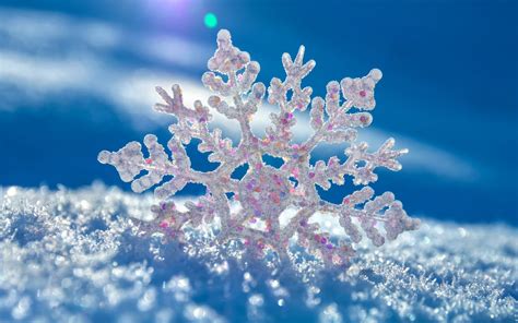 Download Nature Snowflake HD Wallpaper