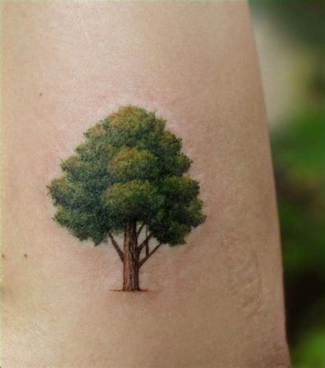 Oak Tree Tattoo Meaning: The Deeper Meanings Behind Popular Tattoo Designs