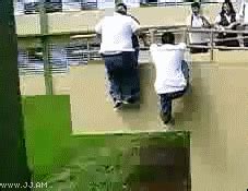 Fail GIF - Find & Share on GIPHY