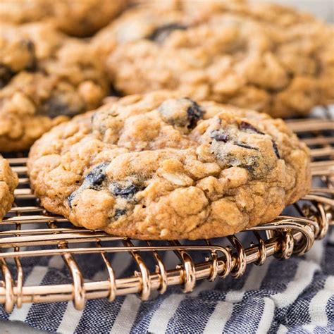 Oatmeal Raisin Cookies – HouseholdCooking.com