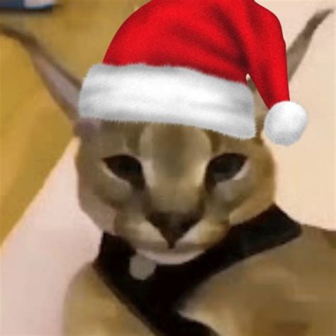 Santa Hat Cat Meme