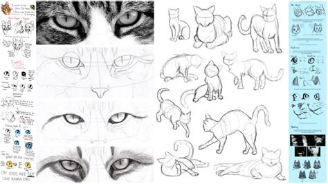 20 Adorable Tutorials On How To Draw a Cat - The Things to Draw Journey