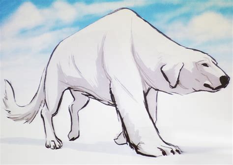 Naga, Korra's polar bear dog - Avatar: The Legend of Korra Photo (26292949) - Fanpop