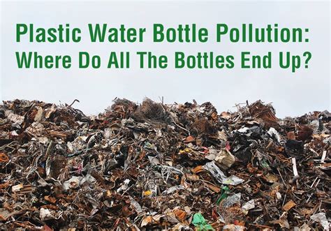 Plastic Water Bottle Pollution: Where Do All The Bottles End Up? – Healthy Human