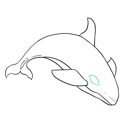 How to Draw an Orca - Really Easy Drawing Tutorial