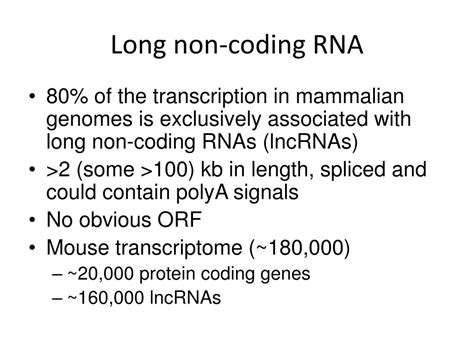 PPT - LONG NON-CODING RNA PowerPoint Presentation, free download - ID ...