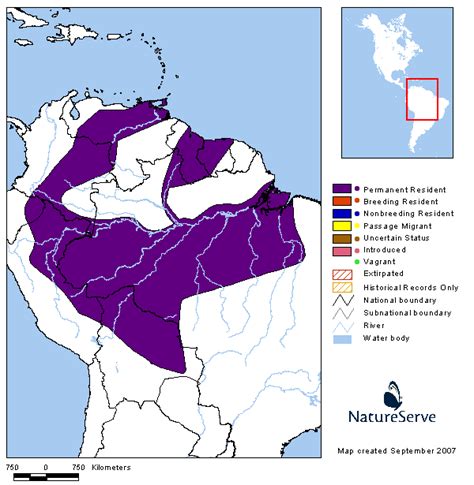 Americas Range Map - Red-capped Cardinal | BirdPhotos.com