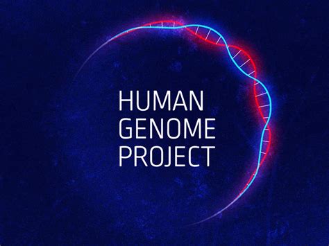 Human Genome Project | Genome project, Human genome, Genome