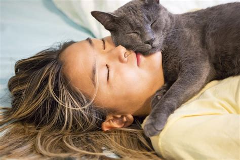 Why Does Your Cat Want to Sleep With You? | Flipboard