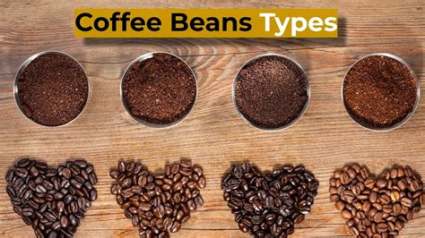 Coffee Beans Types: Here is What You Need to Know