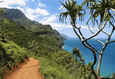 Discover Kauai's Top Hiking Trails