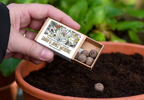 Seedball - a simpler way to grow from seed. | Ruralmums