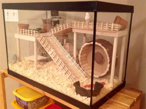 Diy Hamster House - Livingroom Ideas