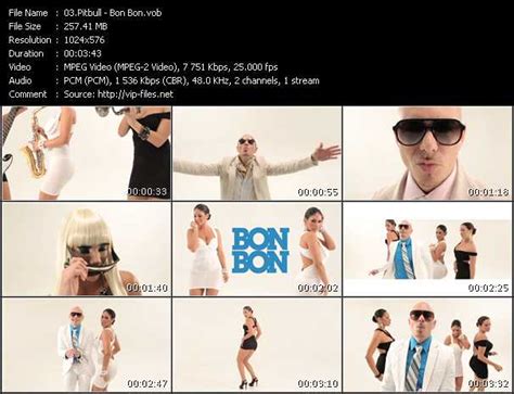 Pitbull «Bon Bon» VOB File