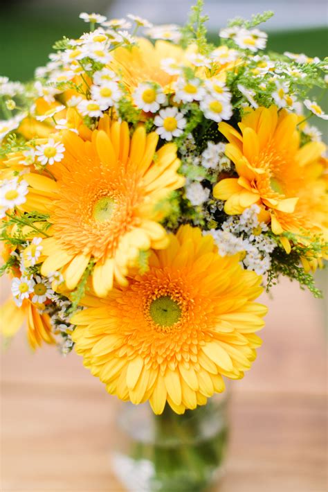 Yellow Gerber Daisy Bouquet