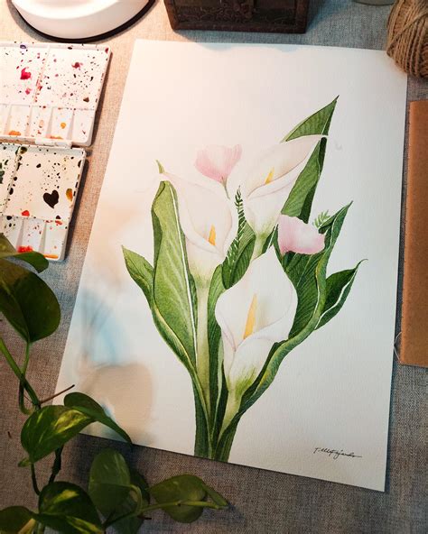 🤍 Hi! Sharing some Calla Lilies in watercolor 🤍 Love how calming this turned out : Watercolor