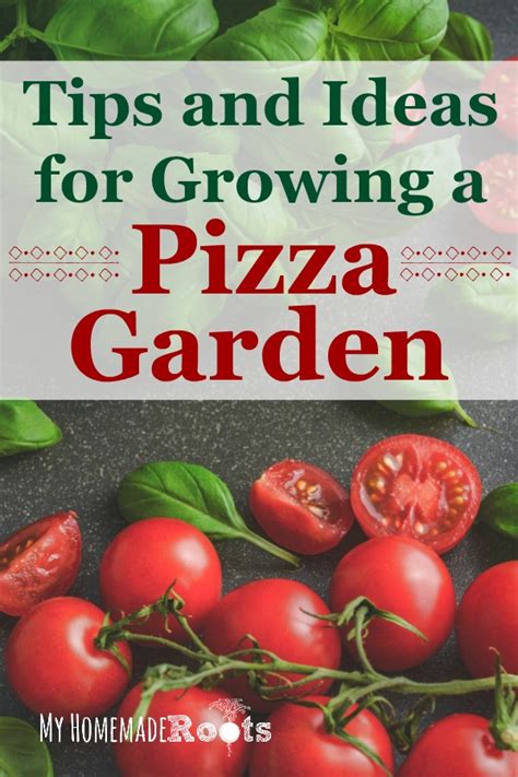 Ideas for Growing a Pizza Garden - My Homemade Roots