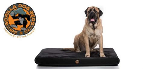 Durable, Chew-Proof Dog Beds | Chew-Proof Beds for Dogs