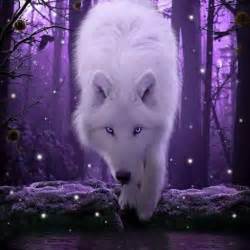 Purple - White Wolf With Purple Eyes (#369802) - HD Wallpaper & Backgrounds Download