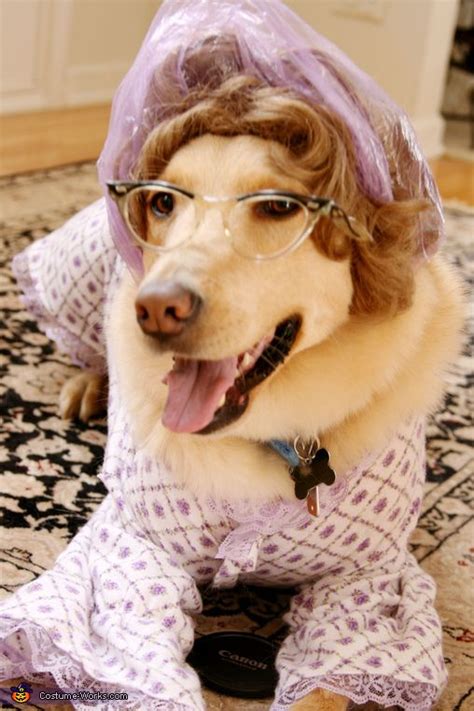 Grandma (or is it?) | Pet halloween costumes, Halloween animals, Pet parade