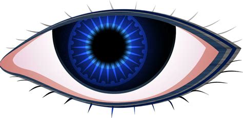 Blue eyes isolated background. 24376385 Vector Art at Vecteezy