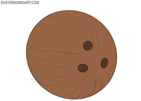 How to Draw a Coconut - Easy Drawing Art