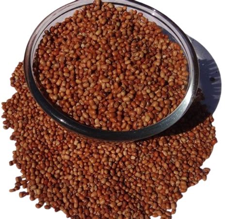 Red Gram Seed, For Food Processing, Packaging Type: Loose at Rs 70/kg in Adilabad