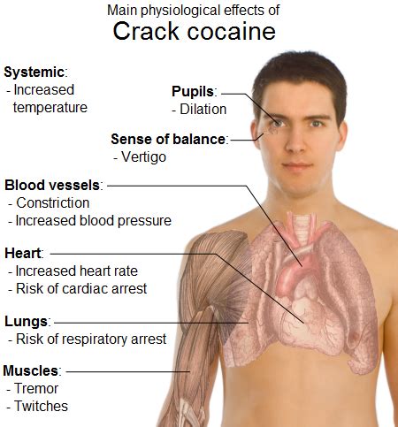 Crack Cocaine - Main Physiological Effects (Image) | Medicalchemy Toxicology