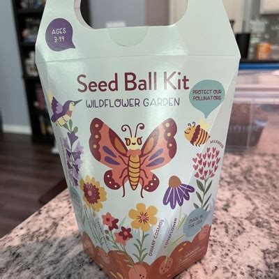 Modern Sprout Diy Garden Seedball Kit - Wildflower : Target