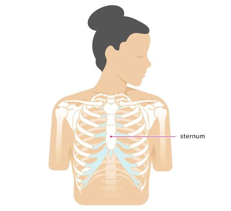 Sternum Popping: Treatment, Pain, Chest Pain, and Symptoms