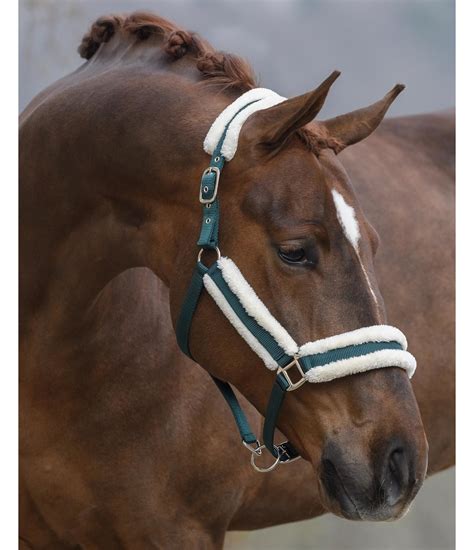 Headcollar Cosy - Headcollars & Lead Ropes - Kramer Equestrian