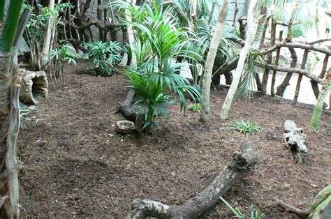 Greenhouse - Palawan peacock-pheasant and Java mouse deer enclosure - ZooChat