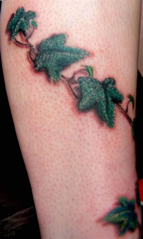 20 best Ivy Leaf Tattoo Patterns images on Pinterest | Leaf tattoos ...