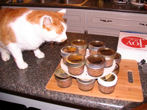 Homemade Cat Food Recipes | Homesteading Simple Self Sufficient Off-The-Grid | Homesteading.com ...