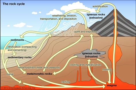 Metamorphic rock - Pressure | Britannica