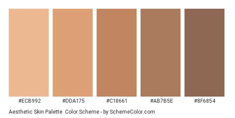 Aesthetic Skin Palette Color Scheme » Brown » SchemeColor.com