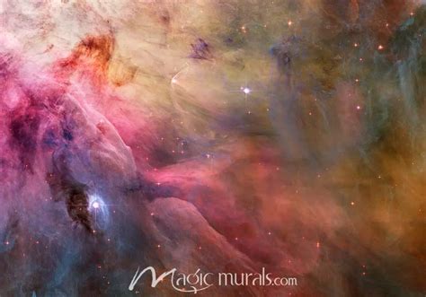 Orion Nebula Wallpaper Wall Mural by Magic Murals